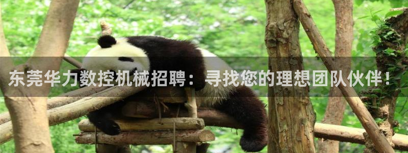 天辰娱乐ttf