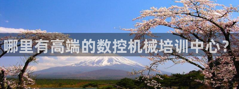 天辰娱乐1996