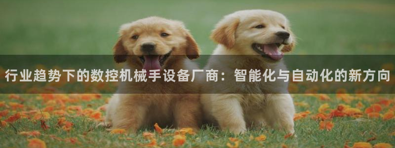 天辰娱乐51137
