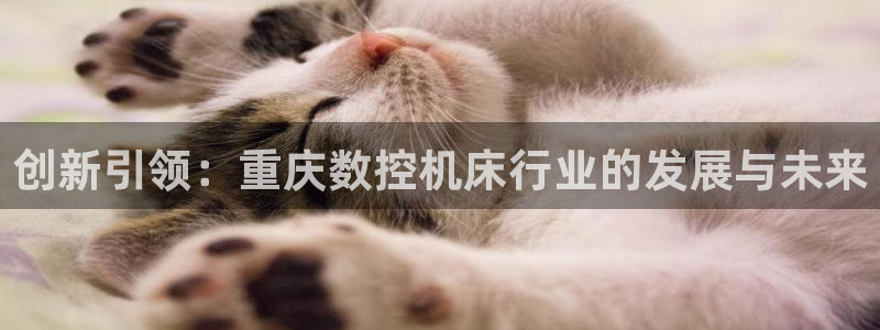 天辰娱乐指尖所