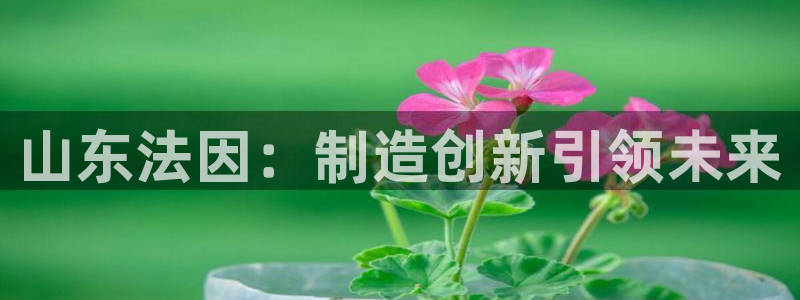 天辰娱乐天辰注册登录