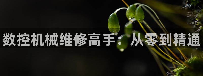 天富天辰娱乐