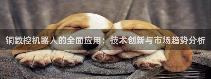 天辰娱乐反水