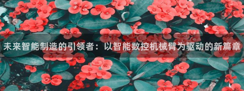 天辰娱乐官方登录入口