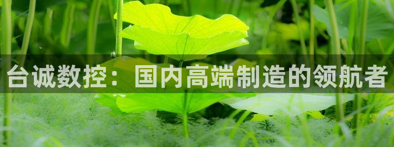 天辰娱乐鱼刺