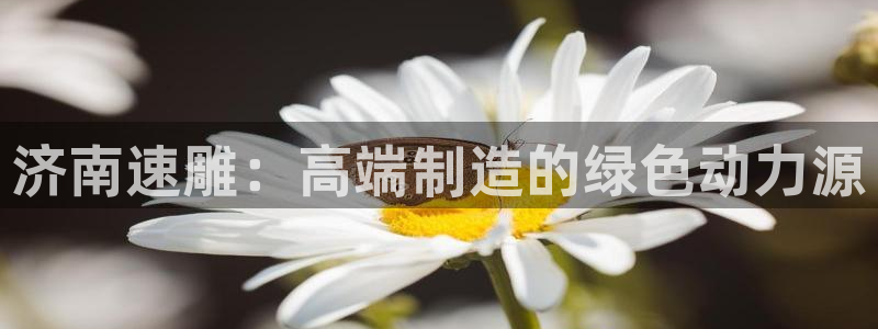 天辰天富娱乐