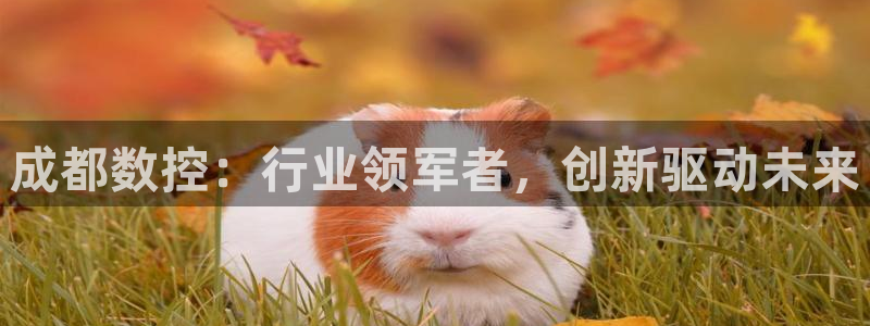 天辰娱乐官方