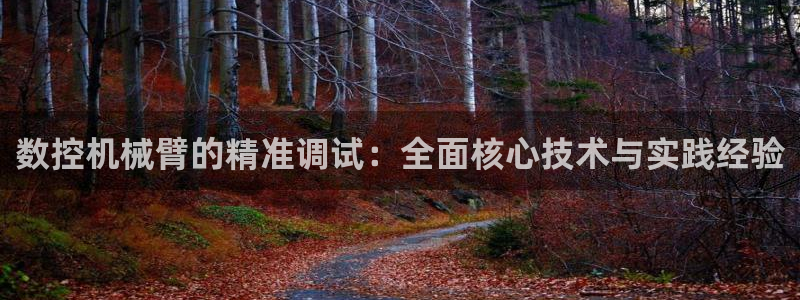 天辰娱乐平台登录账号