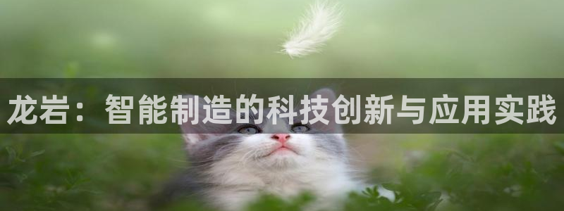 天辰娱乐官方