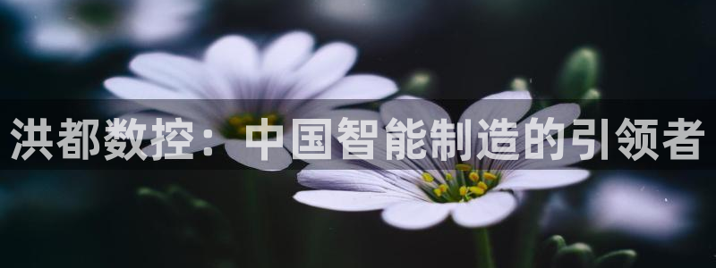 天辰娱乐下载地址