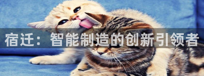 天辰娱乐卡