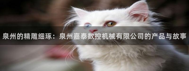 天辰娱乐上级