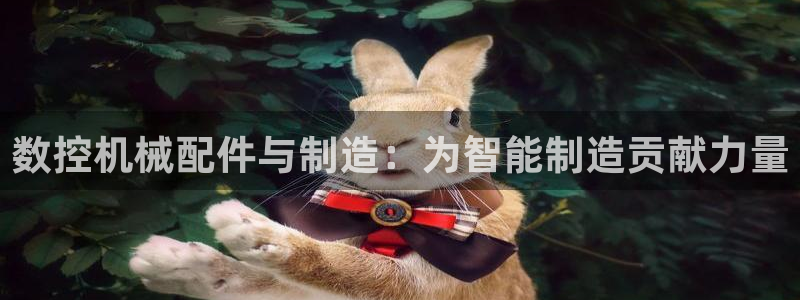 天辰娱乐卡