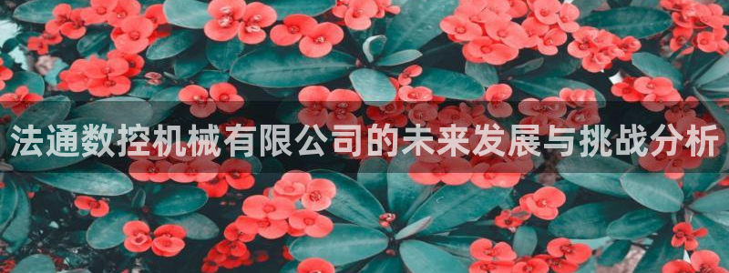 天辰娱乐84566