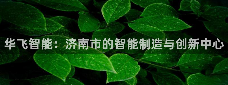天辰娱乐白屏