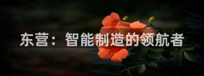 天辰娱乐60447