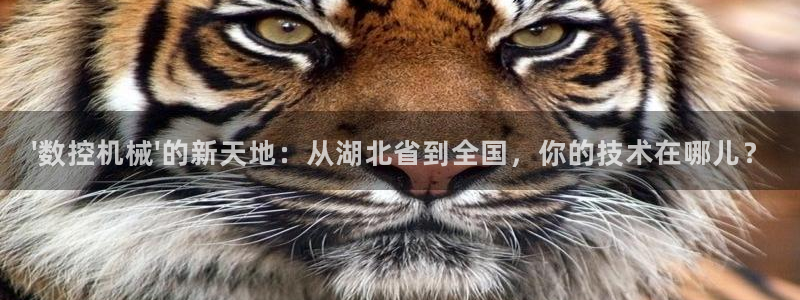 天辰a娱乐