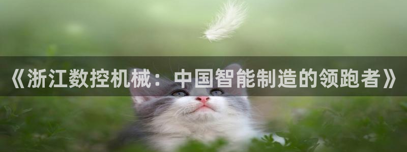 常州天辰娱乐