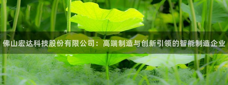 天辰娱乐新