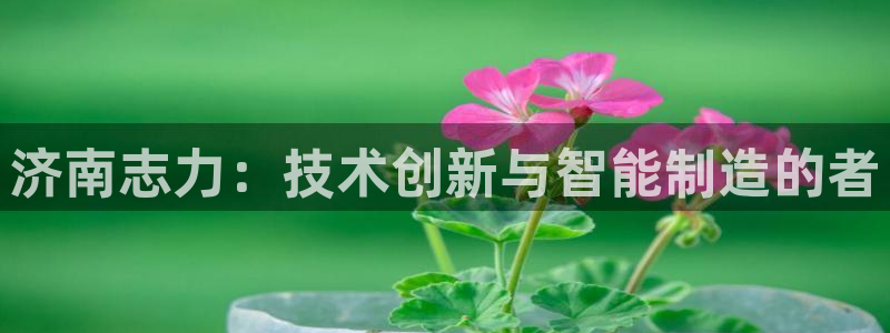 天辰娱乐厕所：济南志力：技术创新与智能制造的者