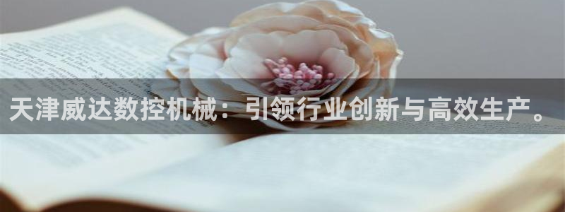 天辰娱乐元宝