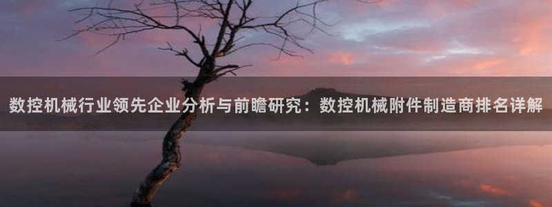 天辰娱乐国际：数控机械行业领先企业分析与前瞻研究：数控机械附件制造商排名详解