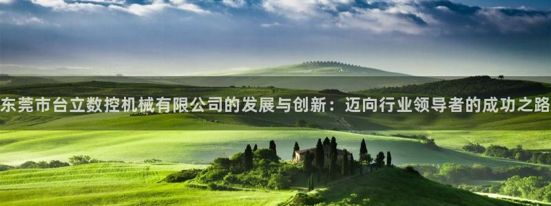 天辰娱乐新闻：东莞市台立数控机械有限公司的发展与创新：迈向行业领导者的成功之路