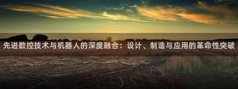 辰天娱乐用品：先进数控技术与机器人的深度融合：设计、制造与应用的革命性突破