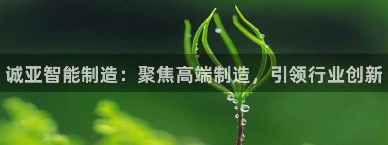 天辰娱乐22650：诚亚智能制造：聚焦高端制造，引领行业创新