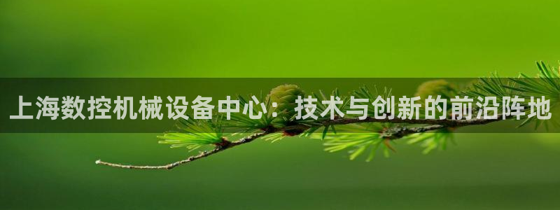 天辰 娱乐注册：上海数控机械设备中心：技术与创新的前沿阵地