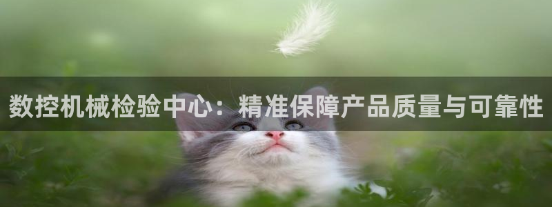 天辰娱乐平台